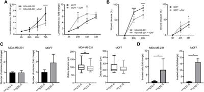 Modelling metastasis in zebrafish unveils regulatory interactions of cancer-associated fibroblasts with circulating tumour cells